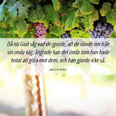 Picture 06 - Jona 3:10 SV1917 - Då nu Gud såg vad de gjorde, att de vände om - Bible Verse Picture