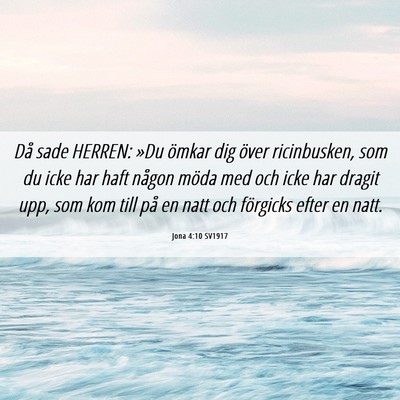 Picture 06 - Jona 4:10 SV1917 - Då sade HERREN: »Du ömkar dig över - Bible Verse Picture