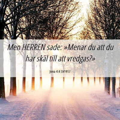 Picture 06 - Jona 4:4 SV1917 - Men HERREN sade: »Menar du att du har skäl till - Bible Verse Picture