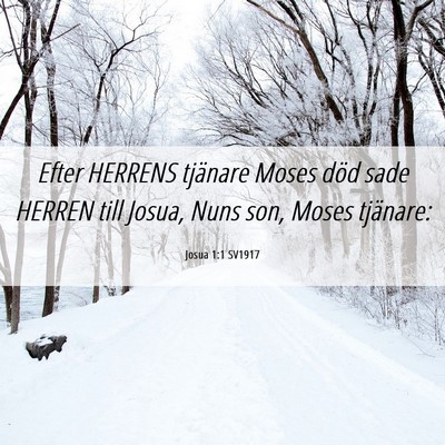 Picture 06 - Josua 1:1 SV1917 - Efter HERRENS tjänare Moses död sade HERREN - Bible Verse Picture