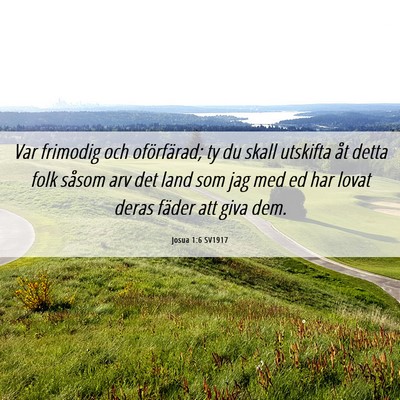 Picture 06 - Josua 1:6 SV1917 - Var frimodig och oförfärad; ty du skall - Bible Verse Picture