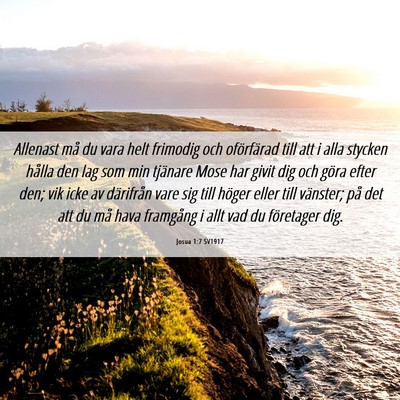 Picture 06 - Josua 1:7 SV1917 - Allenast må du vara helt frimodig och - Bible Verse Picture