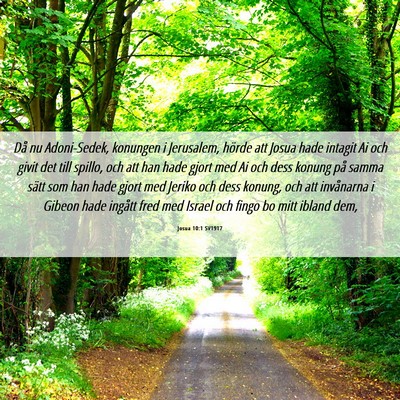 Picture 06 - Josua 10:1 SV1917 - Då nu Adoni-Sedek, konungen i Jerusalem, hörde - Bible Verse Picture