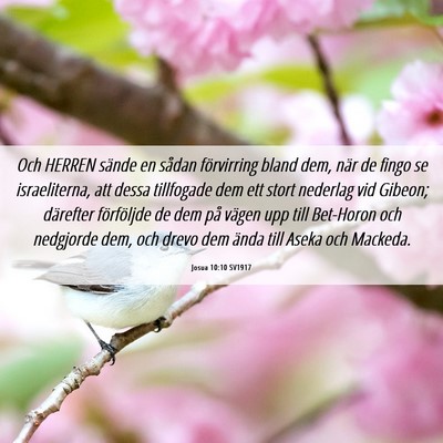 Picture 06 - Josua 10:10 SV1917 - Och HERREN sände en sådan förvirring bland - Bible Verse Picture