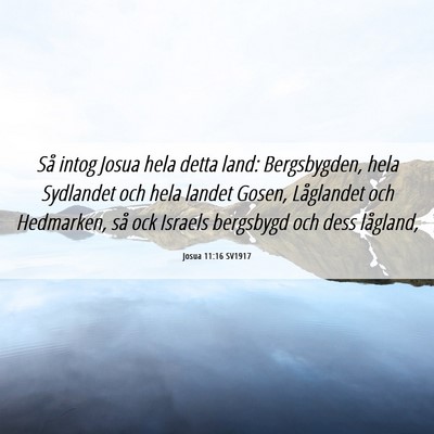 Picture 06 - Josua 11:16 SV1917 - Så intog Josua hela detta land: Bergsbygden, - Bible Verse Picture