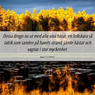 Picture 06 - Josua 11:4 SV1917 - Dessa drogo nu ut med alla sina härar, en - Bible Verse Picture