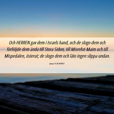 Picture 06 - Josua 11:8 SV1917 - Och HERREN gav dem i Israels hand, och de slogo - Bible Verse Picture