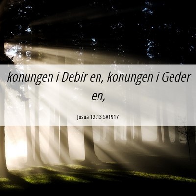 Picture 06 - Josua 12:13 SV1917 - konungen i Debir en, konungen i Geder - Bible Verse Picture