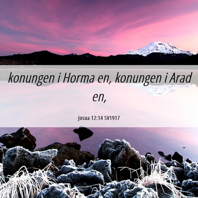 Picture 06 - Josua 12:14 SV1917 - konungen i Horma en, konungen i Arad - Bible Verse Picture
