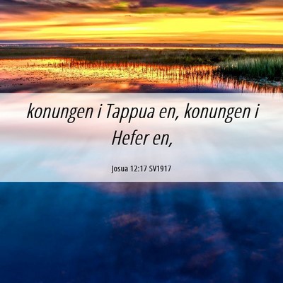 Picture 06 - Josua 12:17 SV1917 - konungen i Tappua en, konungen i Hefer - Bible Verse Picture