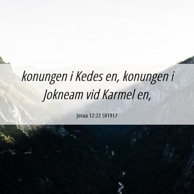 Picture 06 - Josua 12:22 SV1917 - konungen i Kedes en, konungen i Jokneam vid - Bible Verse Picture