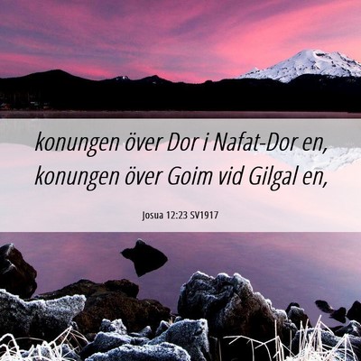 Picture 06 - Josua 12:23 SV1917 - konungen över Dor i Nafat-Dor en, konungen över - Bible Verse Picture