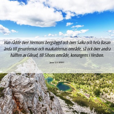 Picture 06 - Josua 12:5 SV1917 - Han rådde över Hermons bergsbygd och över - Bible Verse Picture