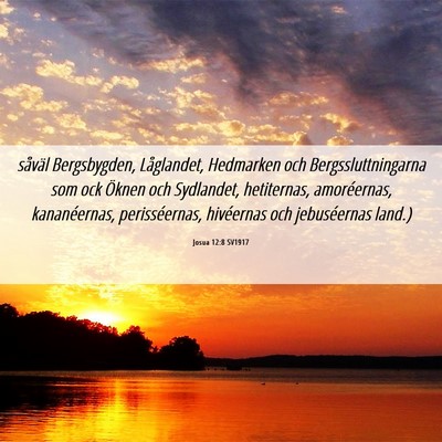 Picture 06 - Josua 12:8 SV1917 - såväl Bergsbygden, Låglandet, Hedmarken och - Bible Verse Picture
