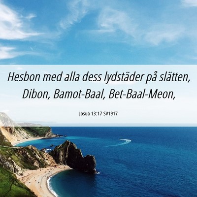 Picture 06 - Josua 13:17 SV1917 - Hesbon med alla dess lydstäder på slätten, - Bible Verse Picture