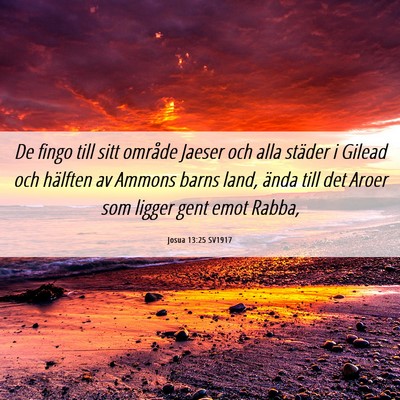 Picture 06 - Josua 13:25 SV1917 - De fingo till sitt område Jaeser och alla - Bible Verse Picture