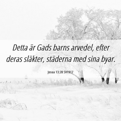 Picture 06 - Josua 13:28 SV1917 - Detta är Gads barns arvedel, efter deras - Bible Verse Picture
