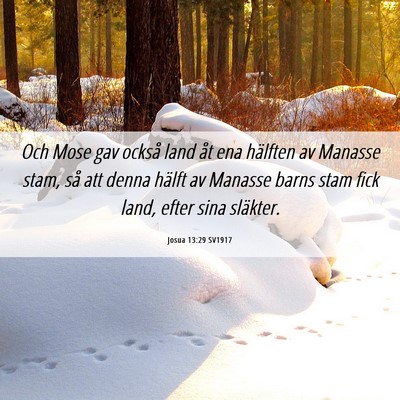 Picture 06 - Josua 13:29 SV1917 - Och Mose gav också land åt ena hälften av - Bible Verse Picture