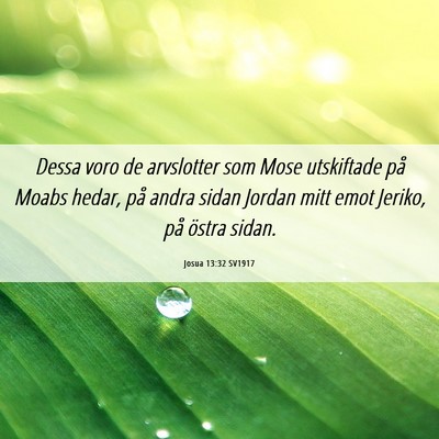 Picture 06 - Josua 13:32 SV1917 - Dessa voro de arvslotter som Mose utskiftade på - Bible Verse Picture