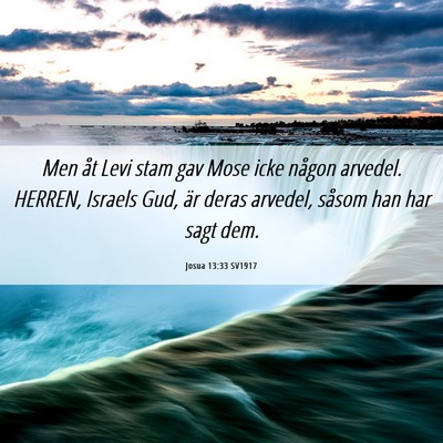 Picture 06 - Josua 13:33 SV1917 - Men åt Levi stam gav Mose icke någon arvedel. - Bible Verse Picture