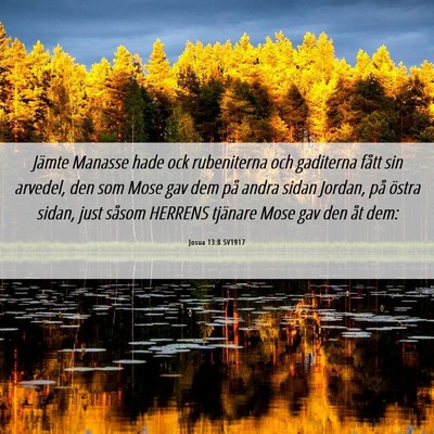 Picture 06 - Josua 13:8 SV1917 - Jämte Manasse hade ock rubeniterna och gaditerna - Bible Verse Picture