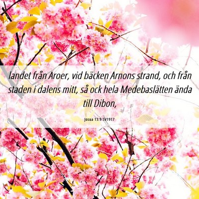 Picture 06 - Josua 13:9 SV1917 - landet från Aroer, vid bäcken Arnons strand, - Bible Verse Picture
