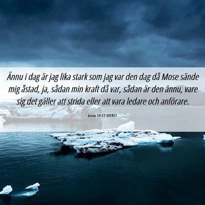 Picture 06 - Josua 14:11 SV1917 - Ännu i dag är jag lika stark som jag var den - Bible Verse Picture