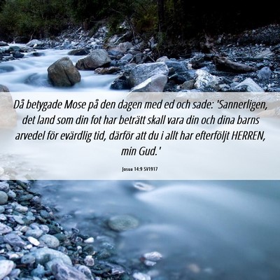 Picture 06 - Josua 14:9 SV1917 - Då betygade Mose på den dagen med ed och sade: - Bible Verse Picture