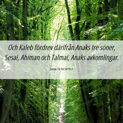 Picture 06 - Josua 15:14 SV1917 - Och Kaleb fördrev därifrån Anaks tre söner, - Bible Verse Picture