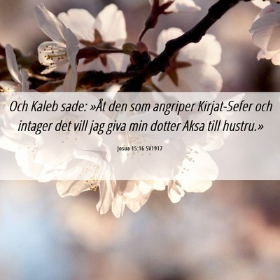 Picture 06 - Josua 15:16 SV1917 - Och Kaleb sade: »Åt den som angriper - Bible Verse Picture