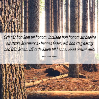 Picture 06 - Josua 15:18 SV1917 - Och när hon kom till honom, intalade hon honom - Bible Verse Picture