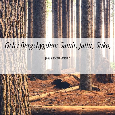 Picture 06 - Josua 15:48 SV1917 - Och i Bergsbygden: Samir, Jattir, - Bible Verse Picture