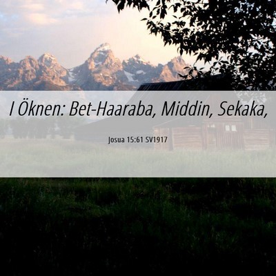 Picture 06 - Josua 15:61 SV1917 - I Öknen: Bet-Haaraba, Middin, - Bible Verse Picture