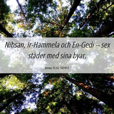 Picture 06 - Josua 15:62 SV1917 - Nibsan, Ir-Hammela och En-Gedi -- sex städer med - Bible Verse Picture