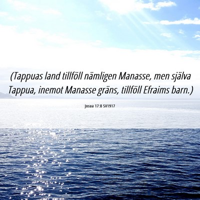 Picture 06 - Josua 17:8 SV1917 - (Tappuas land tillföll nämligen Manasse, men - Bible Verse Picture