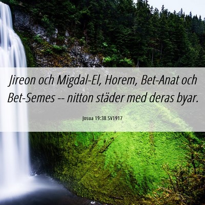 Picture 06 - Josua 19:38 SV1917 - Jireon och Migdal-El, Horem, Bet-Anat och - Bible Verse Picture