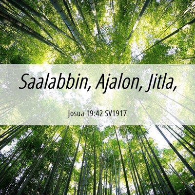 Picture 06 - Josua 19:42 SV1917 - Saalabbin, Ajalon, - Bible Verse Picture