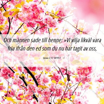 Picture 06 - Josua 2:17 SV1917 - Och männen sade till henne: »Vi vilja likväl - Bible Verse Picture
