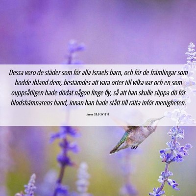 Picture 06 - Josua 20:9 SV1917 - Dessa voro de städer som för alla Israels barn, - Bible Verse Picture