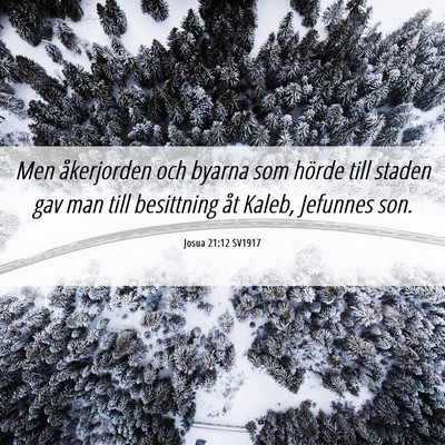 Picture 06 - Josua 21:12 SV1917 - Men åkerjorden och byarna som hörde till staden - Bible Verse Picture