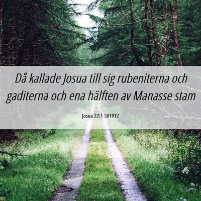 Picture 06 - Josua 22:1 SV1917 - Då kallade Josua till sig rubeniterna och - Bible Verse Picture