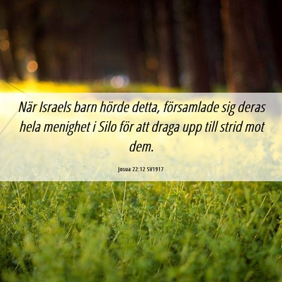 Picture 06 - Josua 22:12 SV1917 - När Israels barn hörde detta, församlade sig - Bible Verse Picture
