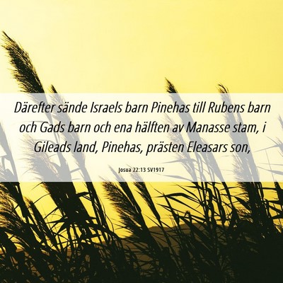 Picture 06 - Josua 22:13 SV1917 - Därefter sände Israels barn Pinehas till Rubens - Bible Verse Picture