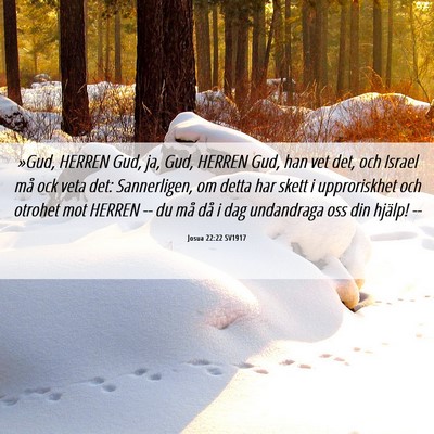 Picture 06 - Josua 22:22 SV1917 - »Gud, HERREN Gud, ja, Gud, HERREN Gud, han vet - Bible Verse Picture