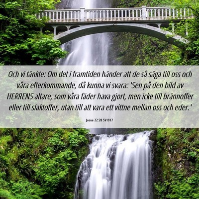 Picture 06 - Josua 22:28 SV1917 - Och vi tänkte: Om det i framtiden händer att de - Bible Verse Picture