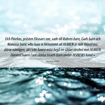 Picture 06 - Josua 22:31 SV1917 - Och Pinehas, prästen Eleasars son, sade till - Bible Verse Picture