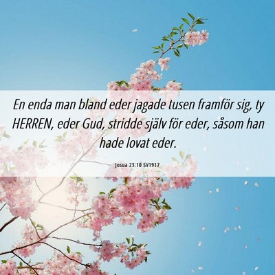 Picture 06 - Josua 23:10 SV1917 - En enda man bland eder jagade tusen framför sig, - Bible Verse Picture