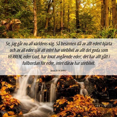 Picture 06 - Josua 23:14 SV1917 - Se, jag går nu all världens väg. Så besinnen - Bible Verse Picture