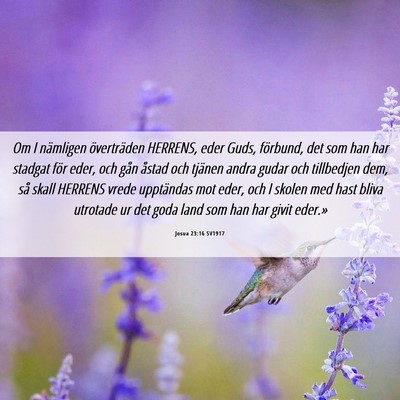 Picture 06 - Josua 23:16 SV1917 - Om I nämligen överträden HERRENS, eder Guds, - Bible Verse Picture