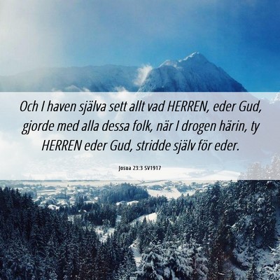 Picture 06 - Josua 23:3 SV1917 - Och I haven själva sett allt vad HERREN, eder - Bible Verse Picture